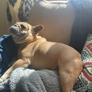 Meet your Posher, Elle